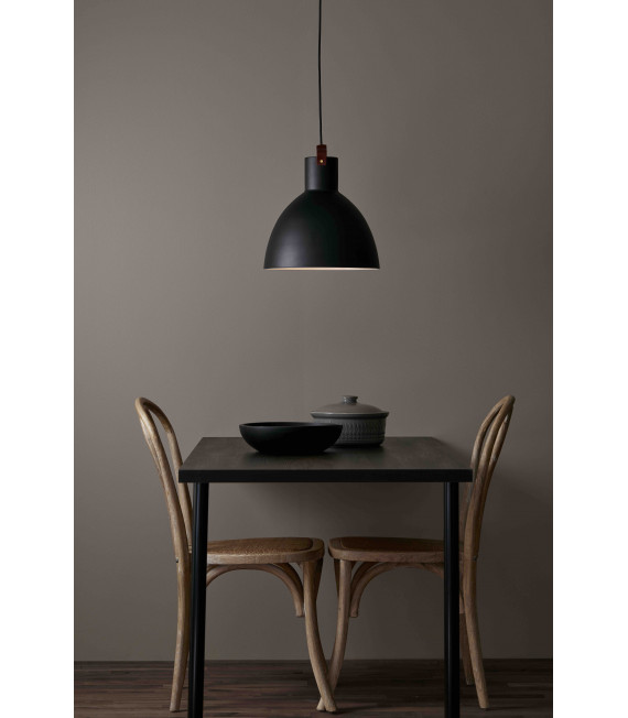 EAGLE ceiling light black 1 bulb